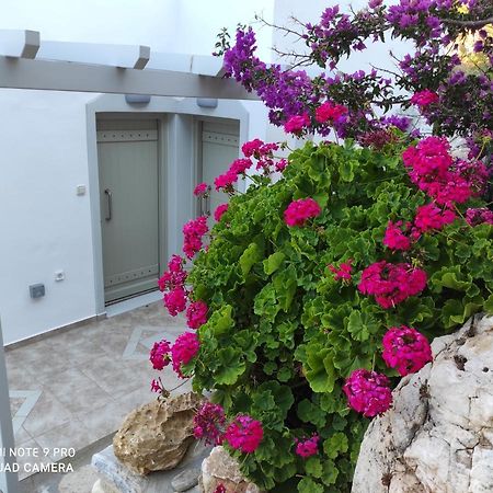 Villa Delfinaki Lionas エクステリア 写真