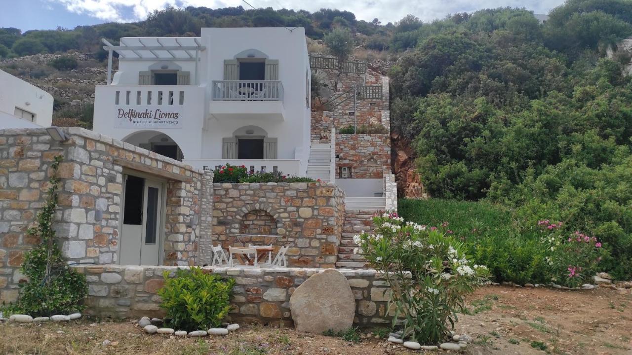 Villa Delfinaki Lionas エクステリア 写真